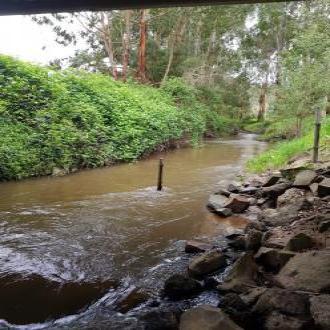 Carlisle River facing east