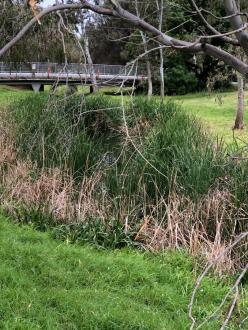 From upstream of pond