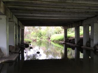 creekside looking downstream