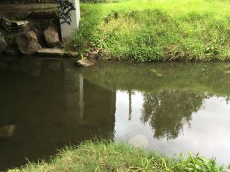 creek sample site