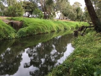 creekside looking upstream