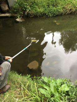 creekside collecting water samples