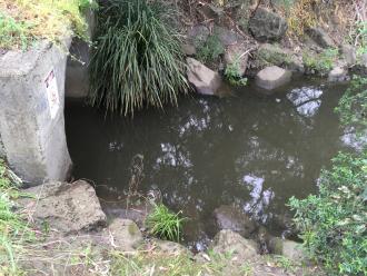 drain water sampling site