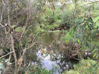 drain flowing towards creek