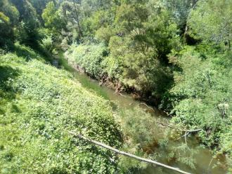 View north from bridge