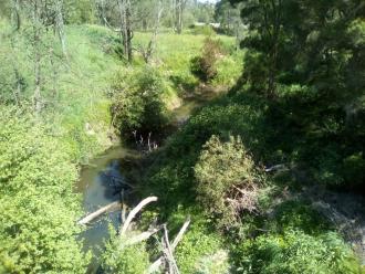 View south from bridge