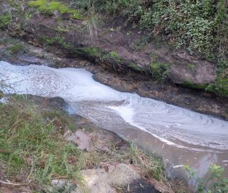 Suds trapped by vegetation obstruction at Stones Crossing July 1 2019