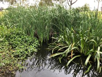 upstream