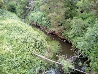 View north from bridge