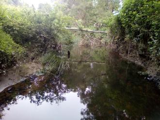 View north under bridge