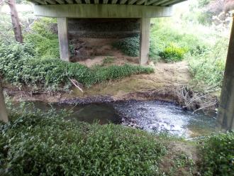 View looking east across creek