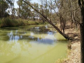 Murray River, Mildura. Upstream