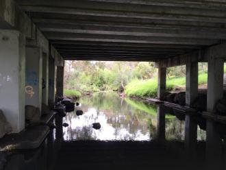 looking downstream