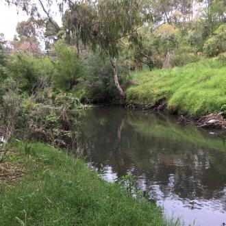 looking downstream