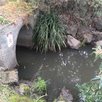 water sample site