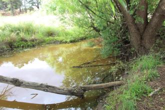upstream