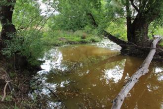 Down stream