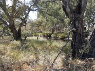 Looking downstream