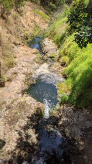 View looking downstream