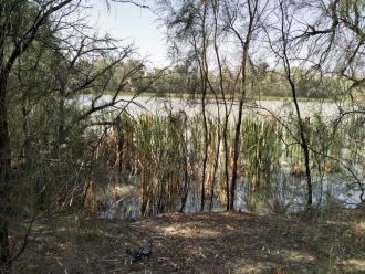 Kings Billabong, Mildura