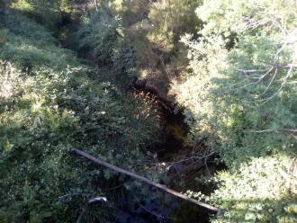 view north from bridge