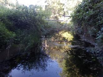 view north under bridge