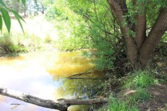 Upstream
