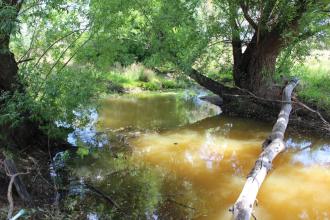 Down stream