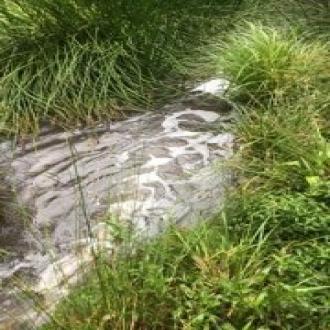 Foam entering Pobblebonk Point through Vegemite Creek