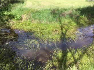 Five Mile Creek Reservev