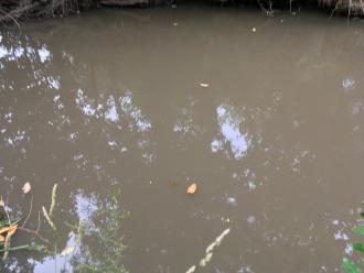 Five Mile Creek at Childrens' Park