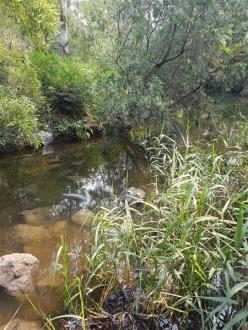 Creek when it was  tested 1.5 hours after resident report