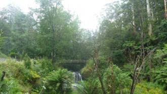 Ngalqan Falls - Bordering Morwell River Falls Reserve