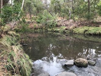 Upstream of site