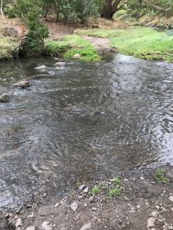 Across the creek at site