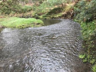 Downstream from site