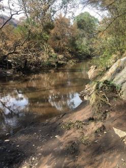 looking up stream at collection point