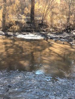 looking across the stream at collection point