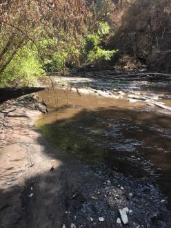 looking down stream at collection point