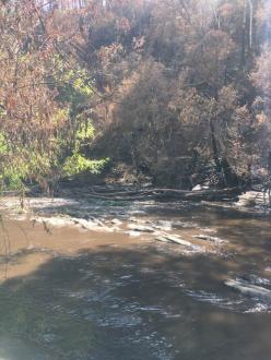 looking down stream at collection point