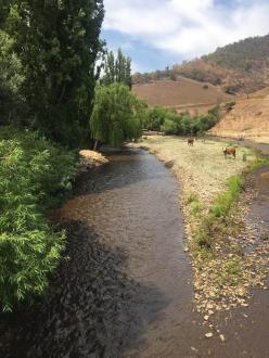 looking upstream