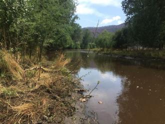 looking downstream showing bank