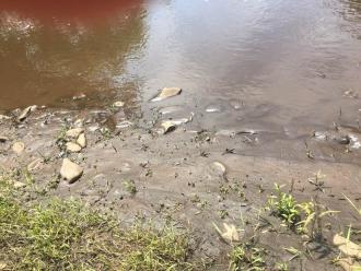 silt on bank. a little smelly