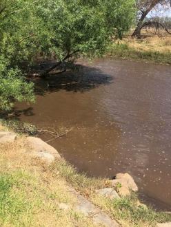 looking across stream