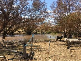 looking across stream
