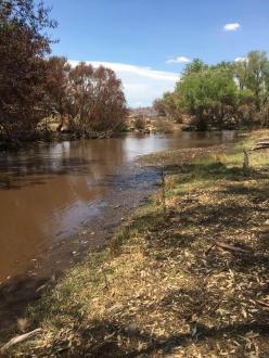 looking upstream