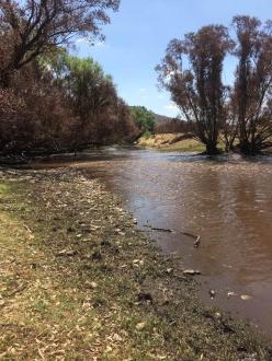 looking down stream