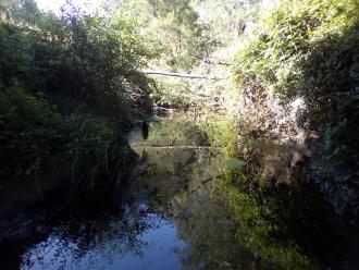 View north under bridge