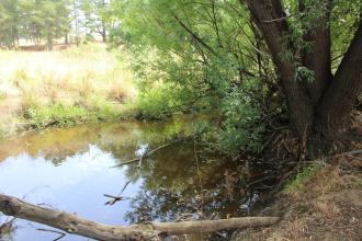 Upstream