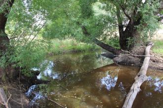 Down stream